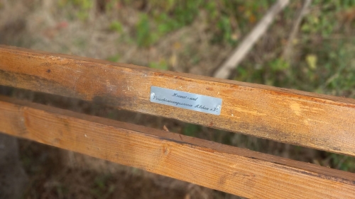 20251018 113004 (1) (1)